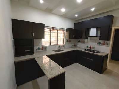 Kitchen, Storage, Lighting, Window Designs by Interior Designer I scale Interiors, Alappuzha | Kolo