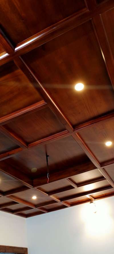 Ceiling, Lighting Designs by Home Owner Rajesh KC, Kottayam | Kolo