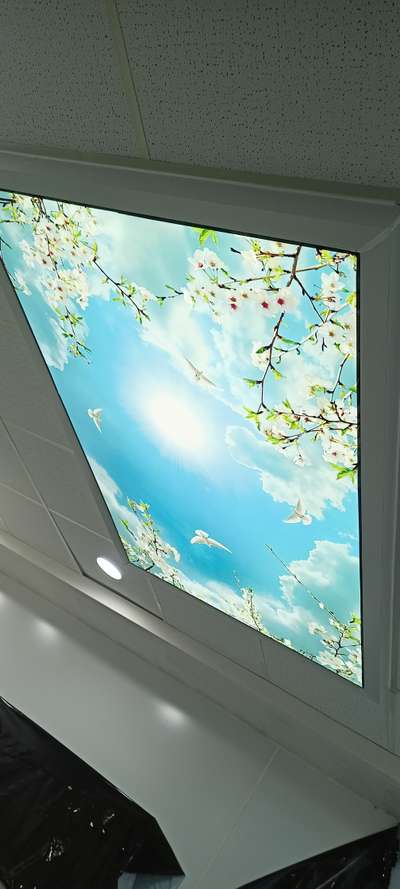Ceiling, Lighting Designs by Interior Designer AA Enterprises , Indore | Kolo