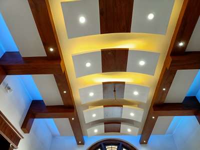 Living, Ceiling, Electricals, Lighting Designs by Interior Designer castle interior, Thrissur | Kolo