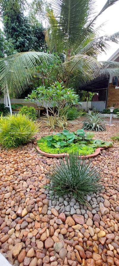 Outdoor Designs by Gardening & Landscaping Evergreen  Garden designs, Thrissur | Kolo