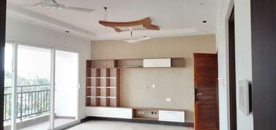 Living, Storage, Door Designs by Carpenter Renjith  renju, Thiruvananthapuram | Kolo