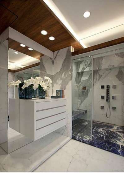 Ceiling, Lighting, Bathroom, Home Decor Designs by Interior Designer Prithvik Shiva Rama Krishna, Delhi | Kolo
