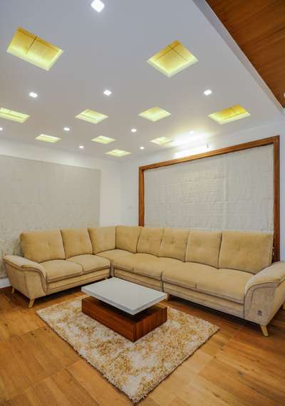 Living, Ceiling, Furniture Designs by Interior Designer SPIDER  INTERIORS, Kozhikode | Kolo