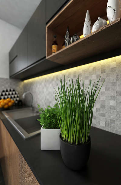 Lighting, Kitchen, Storage Designs by Interior Designer Trio  Archi studio , Thrissur | Kolo