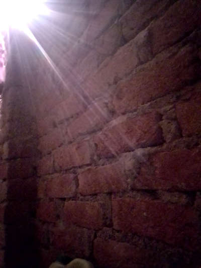 Wall Designs by Civil Engineer Bheru Lal  Lal, Udaipur | Kolo