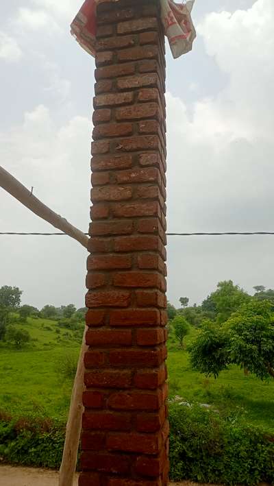 Wall Designs by Contractor Bhanwarlal Gahlot, Udaipur | Kolo