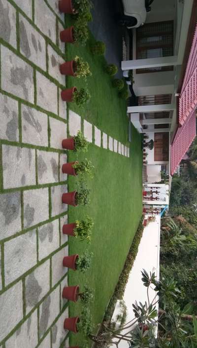 Outdoor Designs by Gardening & Landscaping Krishiyo greens, Ernakulam | Kolo
