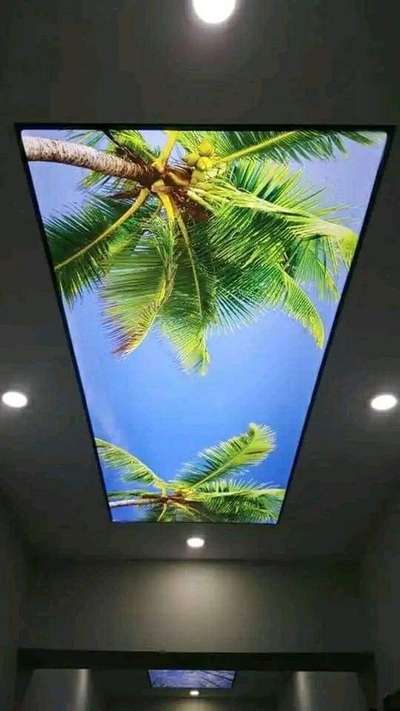 Ceiling, Lighting Designs by Contractor Sadik Ali, Ujjain | Kolo