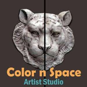 Color n Space Artist Studio