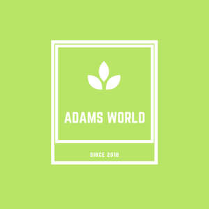 Adam Adnan