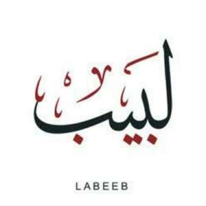 mohammed labeeb