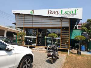BayLeaf   Gardening  Landscaping 