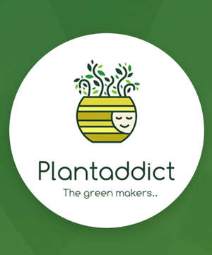 Plantaddict  Plantaddict 
