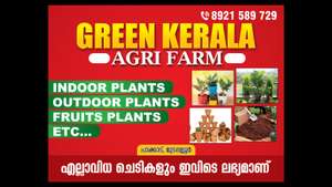 green kerala agri farm  aswin